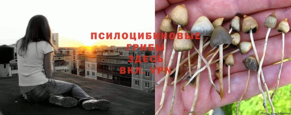 индика Куйбышев