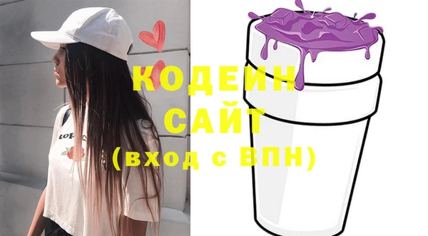 индика Куйбышев