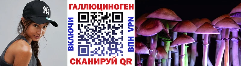 Купить закладки  Павловск  Псилоцибиновые грибы Psilocybine cubensis 