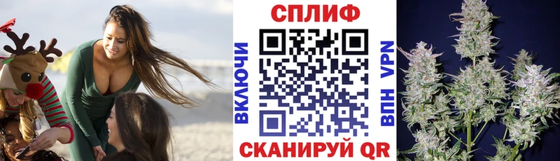 Купить закладки  Павловск  МАРИХУАНА Ganja 